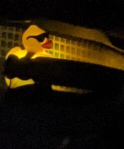 GAME 8002 Solar Light-Up Derby Pool 3”-Tablet Chlorine Dispenser LED Light Sensor Expandable Basket Adjustable Flow Rate Duck, Tiki, Globe, Pineapple, and Volcano, Older Version 45 91BNLul3EpL