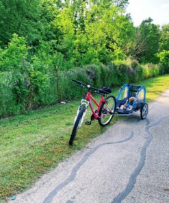 Instep Bike Trailer for Toddlers, Kids, Single and Double Seat, 2-In-1 Canopy Carrier, Multiple Colors Blue Single Seat 29 91BTTORRIZL