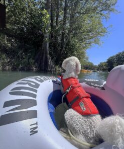 Intex River Run II Inflatable 2-Person Pool Tube Float with Attached Cooler and Repair Kit Multi-colored 32 91BhMY2C9gL