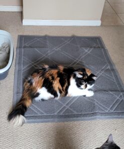 Iprimio Cat Litter Box Mat, 42x36", Gray - Cat Litter Trapping Mat - Mesh Mat Catches Litter - Kitty Litter Mat - Large Cat Litter Mat - Repels Odor, Easy Clean Non Slip Kitty Litter Trapper Mats 42x36 - Gray 25 91BjA6bGVNL