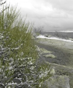 Nikon COOLPIX S3700 Digital Camera with 8x Optical Zoom and Built-In Wi-Fi (Silver) Silver Base 12 91Bk038fDvL