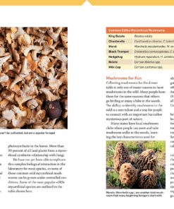The Essential Guide to Cultivating Mushrooms: Simple and Advanced Techniques for Growing Shiitake, Oyster, Lion's Mane, and Maitake Mushrooms at Home Paperback 7 91Bp7jqhJL