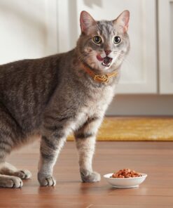 Meow Mix Seafood Selections Wet Cat Food, Variety Pack, 2.75 Ounce Cup (Pack of 24) Variety Pack: Seafood Selections 2.75 Ounce (Pack of 24) 34 91Bvi9KuEeL