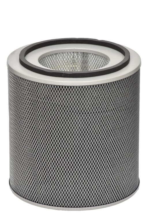 Austin Air FR400A Healthmate Standard Replacement Filter, Black