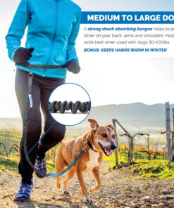 Tuff Mutt Hands Free Dog Leash For Running That Makes A Great Waist Leash for Dog Walking, Double Handle Bungee Leash with Reflective Stitching and Adjustable Dog Walking Belt green/gray 28 91CBd3Db bL