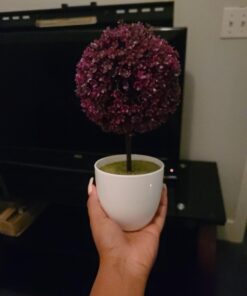 MyGift Tabletop Artificial Topiary Indoor Decor, Fake Plants Faux Purple Boxwood Ball Tree with White Planter Pots, Set of 2 22 91CH4W9mUiL