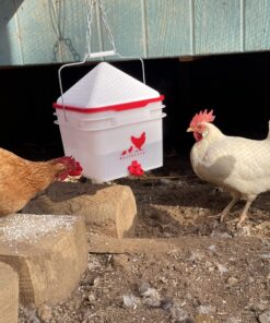 RentACoop 2 Gallon Chicken BPA-Free Plastic Bucket Waterer Set with 4 Horizontal Nipples - Center Placement 18 91CI7sialbL