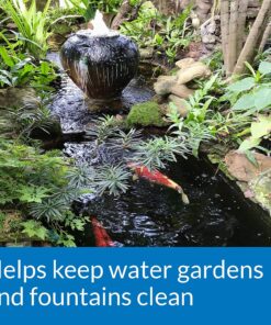 API POND ALGAEFIX Algae control 2.5-Gallon Bottle Pond Treatment 10 91CJIdvFnpL