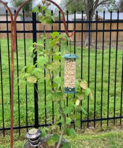 Premium Steel Sunflower Seed and Peanut Feeder, 9.5" Tall, Wild Bird Feeder for Woodpeckers, Titmice, Nuthatches, Chickadees, Jays and More, Gifts for Mom, for Women, Gifts for Dad 9.5 inch 35 91CNoAtdUML