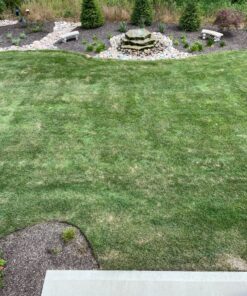 EasyCare FounTec Algaecide and Clarifier, 8 oz. Bottle 14 91CRxM3v28L