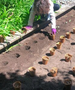 Power Planter Bulb & Bedding Black Auger Bit (3"x7") with 3/8" Non-Slip Hex Drive for Bulb Planting and Gardening Equipment for Grass and The Lawn, Mixing Paint, Earth Auger for Home Projects 23 91CdaeTJhBL