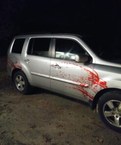 Maven Gifts I Can't Believe It's Not Blood - Fake Blood - 16 oz 43 91CgwCP AOL