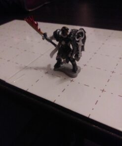 Reaper Almaran The Gold, Paladin 77058 Miniatures 8 91CiEpKj2rL