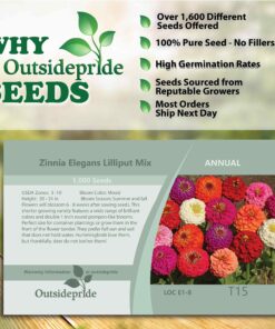 Outsidepride Zinnia Elegans Lilliput Heat & Drought Tolerant Garden Cut Flower Mix - 1000 Seeds Lilliput Mix 44 91Cnnrtf6dL