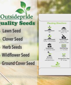 Outsidepride Gerbera Daisy Indoor House Plant or Flower Mix for Outdoor Containers, Pots, Planters, Beds - 100 Seeds 19 91CtdAq1hJL