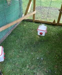 RentACoop 2 Gallon Chicken BPA-Free Plastic Bucket Waterer Set with 4 Horizontal Nipples - Corner Placement 45 91CwHGrbrIL