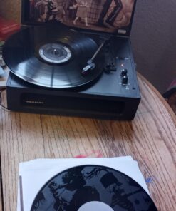 The Black Parade Explicit Lyrics Vinyl, February 10, 2015 34 91D9rUvaP6L