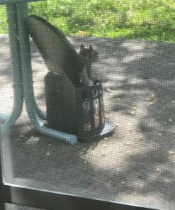 Woodlink Squirrel Diner Feeder Model 75590 beige 40 91DAXFqvv L