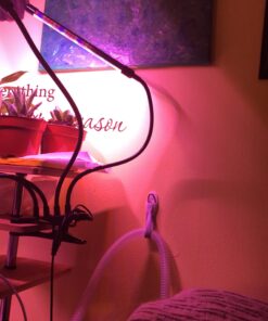 Command 17304 Organizer, 2 (17304-ES) Medium Cord Bundler, White, 2 Count 30 91DCu69B9LL