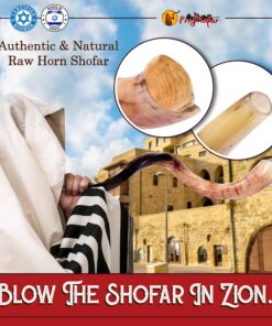 43"-47" Yemenite Shofar Kosher & polish+ Free Bag 11 91DKSU1 S8L