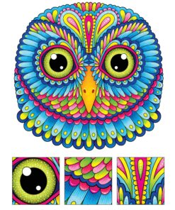 Groovy Owls Coloring Book (Coloring is Fun) (Design Originals) 32 Adorable Art Activities with Quiet, Stoic, Wise, and Happy Owls, plus Beginner-Friendly Advice, Techniques, Color Choices, & Examples Paperback, Coloring Book 35 91E6P15YiL