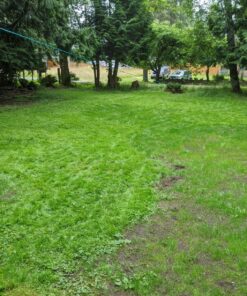 Greenworks 40V 16" Cordless (Push) Lawn Mower (75+ Compatible Tools), 4.0Ah Battery and Charger Included 16" Mower (4.0Ah) 48 91EBL PAnL