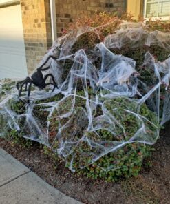 Fun World Costumes Spider Web Decoration Standard 22 91EBn0LyIqL