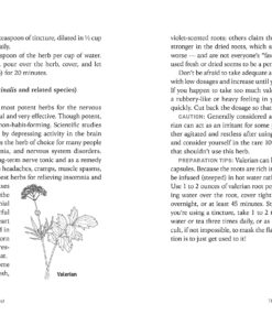 Herbs for Stress & Anxiety: How to Make and Use Herbal Remedies to Strengthen the Nervous System. A Storey BASICS® Title 9 91EFXUpNdCL