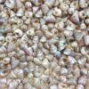 PEPPERLONELY Trochus Tiny Sea Shells, 6 OZ Apprx 1/4 Inch 6#. Trochus Tiny Shells 1/4" 16 91EQO3SRe9L