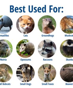 Havahart 1079SR Large 1-Door Humane Catch and Release Live Animal Trap for Raccoons, Cats, Bobcats, Beavers, Small Dogs, Groundhogs, Opossums, Foxes, Armadillos, and Similar-Sized Animals 26 91ElabOUPL