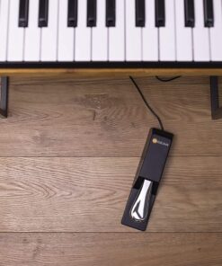 M-Audio SP-2 - Universal Sustain Pedal with Piano Style Action For MIDI Keyboards, Digital Pianos & More 29 91EpIValOrL