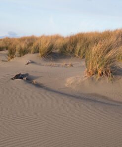 K&F Concept 82mm Variable Fader ND2-ND32 ND Filter and CPL Circular Polarizing Filter 2 in 1 for Camera Lens No X Spot Waterproof Scratch Resistant (Nano-X Series) 33 91ErUbJpRfL