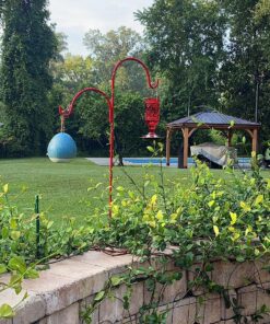 More Birds Red Jewel Hummingbird Feeder, Glass Hummingbird Feeders for Outdoors, 5 Feeding Stations, 20 Ounces Standard Packaging 39 91EvJEvAlBL