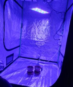 KingLED Newest 3000w LED Grow Lights with LM301B LEDs 4 * 2ft Coverage Full Spectrum Grow Lights for Indoor Hydroponic Plants Veg Bloom Greenhouse Growing Lamps 57 91F2d0p47L