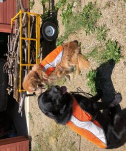 Gorilla Carts Heavy-Duty Steel Utility Cart with Removable Sides and 13" Tires, 1200-lbs. Capacity, Yellow 48 91F9aTuYysL