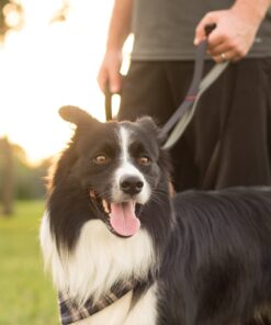 Leashboss 3X - Two Handle Dog Leash with Extra Traffic Handle - Heavy Duty Double Padded Handle Lead for Walking and Training Large Dogs - Large Dog Leash for Control and Training 20 91FATIJAzNL