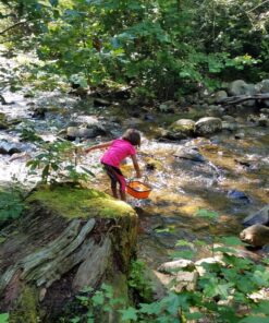 ustFlexWare Collapsible Sink with 2.25 Gal Wash Basin for Washing Dishes and Person During Camping, Hiking and Home 44 91FOkwedkEL