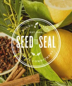 Thieves AromaBright Toothpaste by Young Living, 4 Ounces 11 91Ffur6GvxL