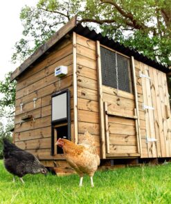 ChickenGuard Waterproof Automatic Chicken Coop Door Opener/Closer with Timer/Light Sensor Plus Predator Resistant Self Locking Pop Hole Door Kit. Coop Accessory (P) 23 91Fia5JEFmL