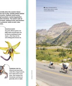 National Parks of America 1: Experience America's 59 National Parks (Lonely Planet) 17 91Fir6g BLL