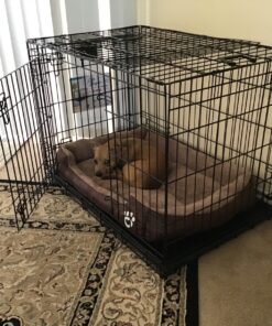 MidWest Homes for Pets Dog Crate Life Stages 36' Double Door Folding Metal Dog Crate | Divider Panel, Floor Protecting Feet, Leak-Proof Dog Pan | 35.63 in x 24.45 in x 21.93 in ,Intermediate Dog Breed 36.0"L x 23.0"W x 25.0"H Lifestages; Double Door 41 91Fo8rKLCL