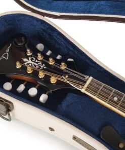 Gator Cases Journeyman Series Deluxe Wood Case for Mandolin; Fits Both A & F Style (GW-JW MANDOLIN) 20 91FvImSPngL