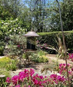 Perky-Pet 312-1SR Outdoor Panorama Wild Bird Feeder - 2 Lb Seed Capacity Brown 41 91G9EIoVfTL