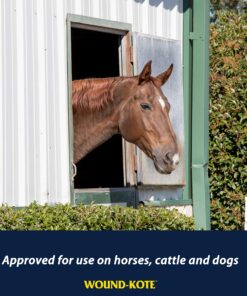 Farnam Wound-Kote Blue Lotion Spray Horse Wound Care for use on Horses and Dogs, Antiseptic Properties, for Minor Wounds, Cuts and Sores, 5 Oz 10 91GAxX261kL