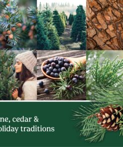 Alternative view of Yankee Candle Balsam & Cedar Scented, Classic 22oz Large Jar Single Wick Candle, Over 110 Hours of Burn Time | Holiday Gifts for All Classic Large Jar