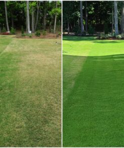 Root Ruckus Compost Fertilizer Organic - Turbo Charged Compost for Plants (32 oz) - Humic Acid & Sea Kelp Nutritional Root Supplement for Lawns, Soil, Shrubs & Vegetables 1 Quart 21 91GORWaHaXL