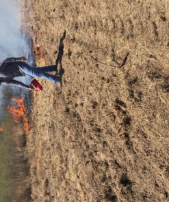 Sure Seal Forestry Suppliers Red OSHA Double-Bottom Drip Torch 5 91GSBJLVaqL