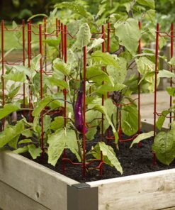 Alternative view of Gardener's Supply Company Pepper and Eggplant Support Stakes | Vegetable Garden Support Cages | Set of 3 - Red