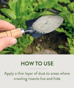 Garden Safe Insect Killer, 1-count 1 Pack 23 91GWFiXxn7L