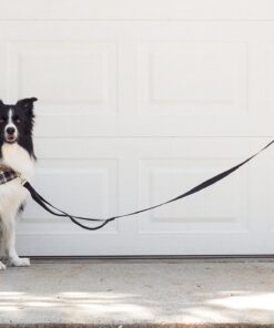 Leashboss 3X - Two Handle Dog Leash with Extra Traffic Handle - Heavy Duty Double Padded Handle Lead for Walking and Training Large Dogs - Large Dog Leash for Control and Training 22 91GepCWzQTL